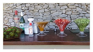 Churrasco Frutas e Vodkas